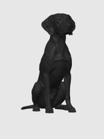 Немецкая короткошерстная легавая
