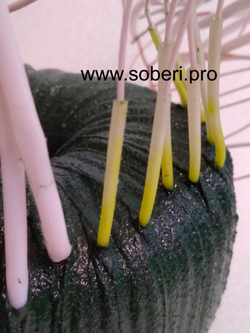 PT-POT-200/350 тороидальный трансформатор питания для лампового усилителя