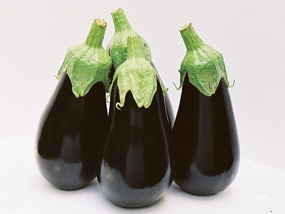 Блек перл F1 семена баклажана (Enza Zaden / Энза Заден) плод – фото 2