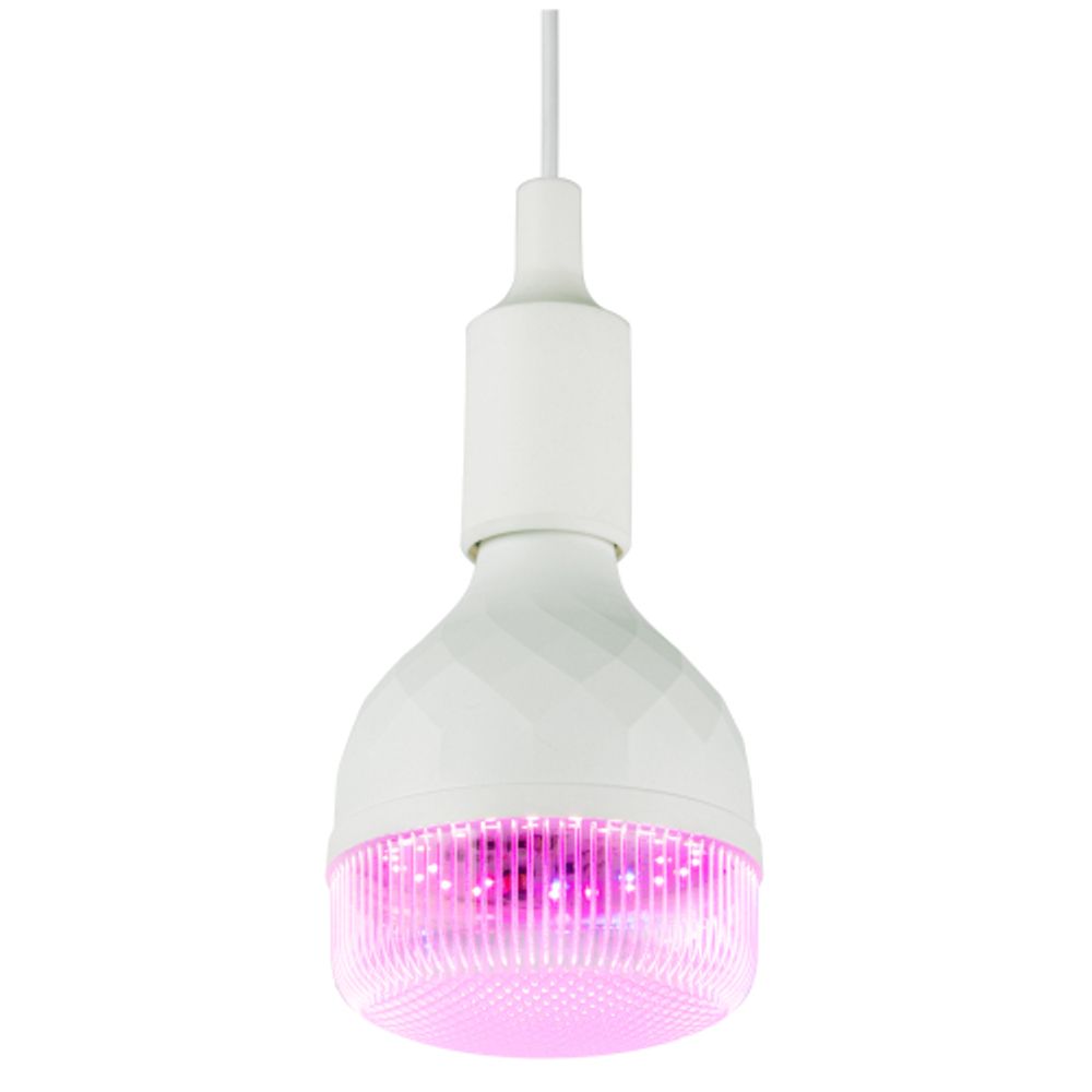 Фитолампа для растений светодиодная ЭРА GREEN LINE ФИТО-35W-PL-E27-GR красно-синего спектра 35 Вт Е27 | Фитолампы Е27