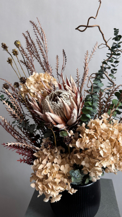 Композиция в кашпо Цинародиес