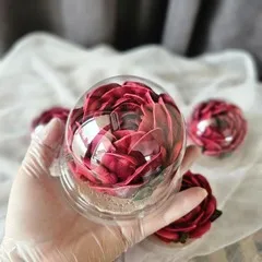 Зефир «Пион бордовый» Зефир «Пион бордовый»