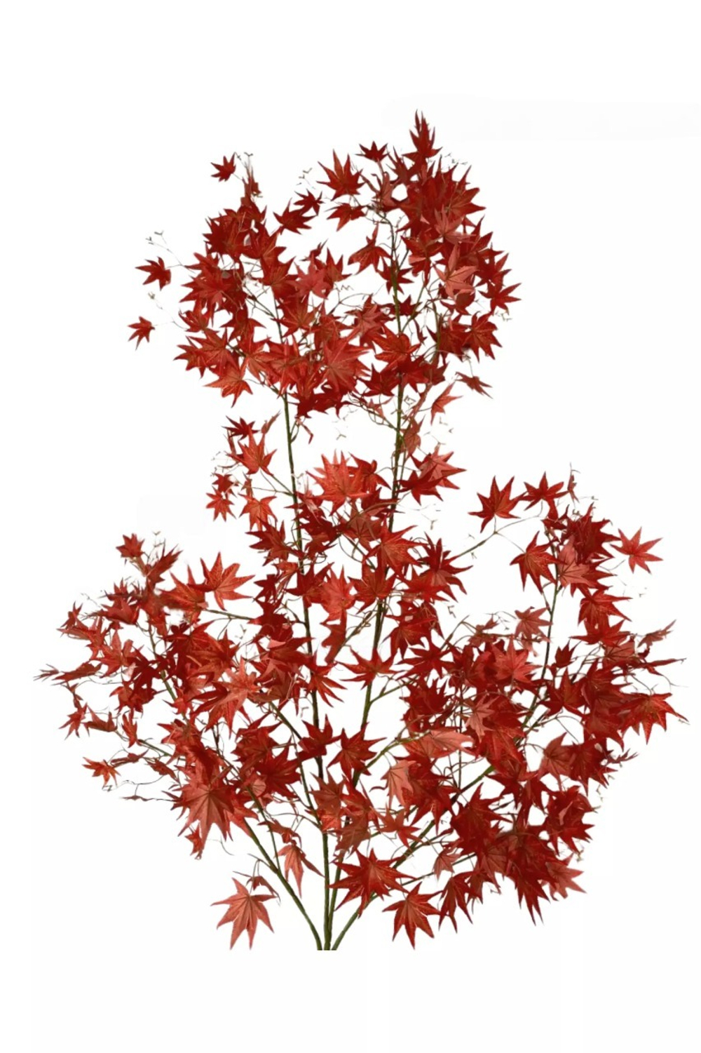 Ветка клена 135см