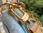 Louis Vuitton Multi Pochette