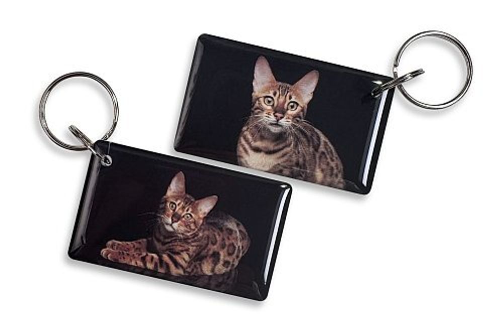 Бенгальский кот Epoxy (чип MF-3.2) 15419