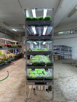 Гидропонная Установка Настенька