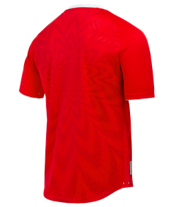 Футболка игровая JOGEL NATIONAL PerFormDRY Home Jersey, красный