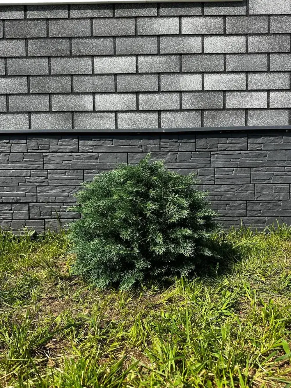 Туя-Шар искусственная (Литая хвоя) 40 см \ 70 см