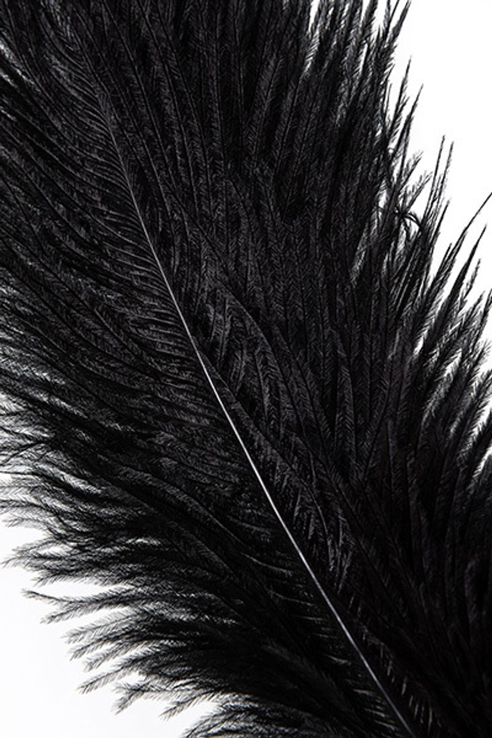 Золотисто-черный флоггер-щекоталка 44см со сменными наконечниками ToyFa Theatre 700044