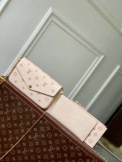 Louis Vuitton Felicie Pochette