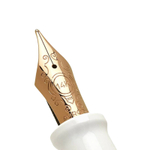 Перьевая ручка Aurora Talentum Dedalo White Rose GT, перо - F, в подарочной коробке