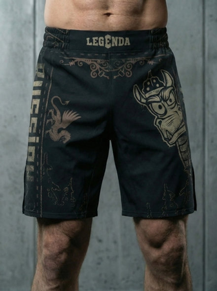 Шорты спортивные тренировочные LEGENDA Горыныч