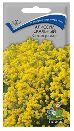 Алиссум Норт фэйс вайт каскадный