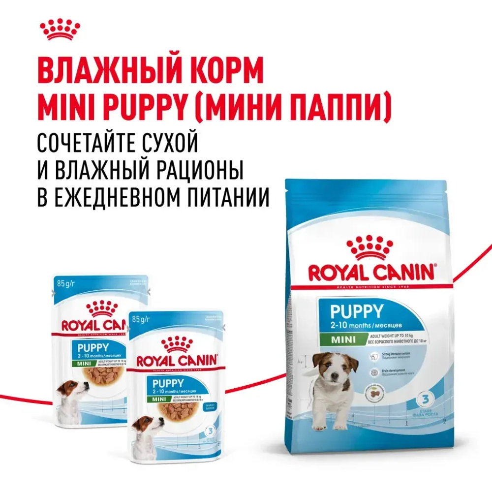 Royal canin mini puppy сухой корм для щенков мелких пород до 8 месяцев - 800 г