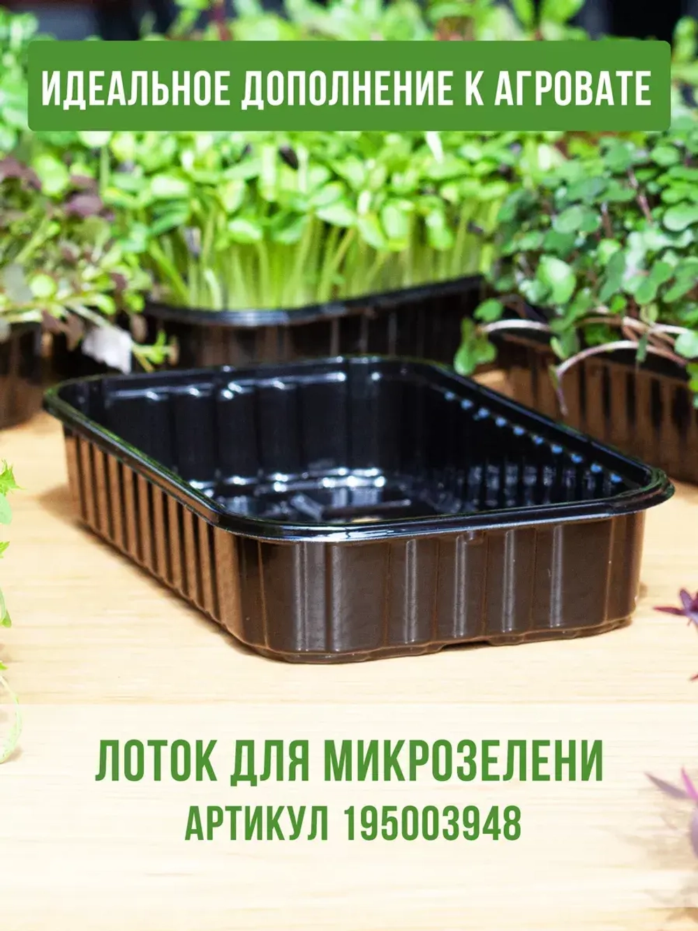 Агровата набор для выращивания микрозелени, 20 ШТ