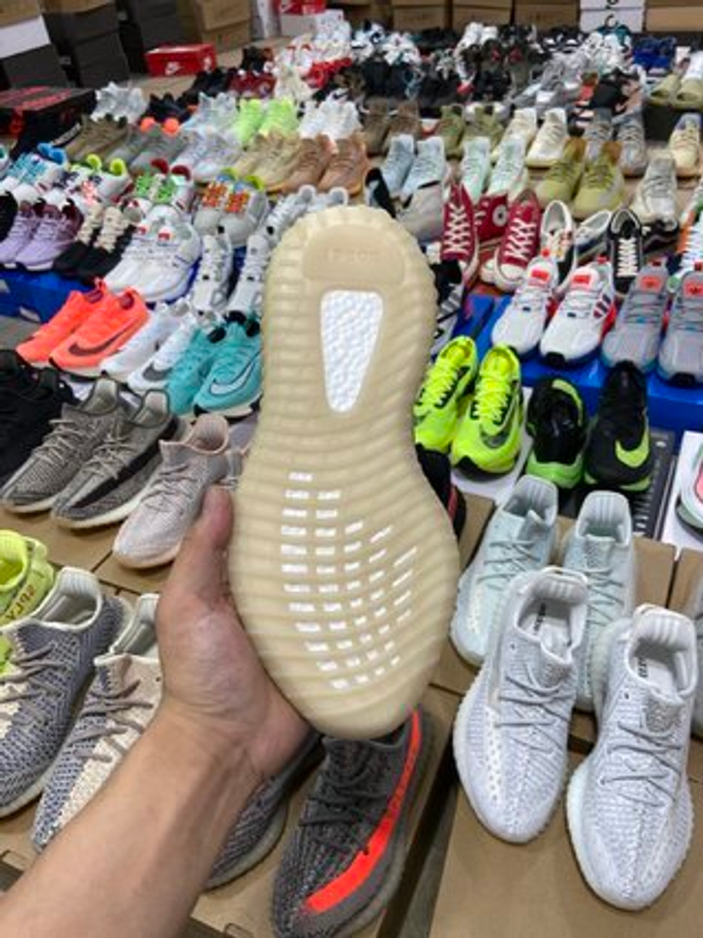 adidas Yeezy Boost 350 V2 "MX Oat"