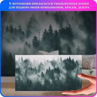 Фотообои 3d на стену флизелиновые Туманный лес 500х270 см Luxury Walls AM13105