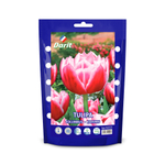 ЛУКОВИЦЫ ТЮЛЬПАН МАХРОВЫЙ КОЛУМБУС/COLUMBUS 11/12, DARIT 7 ШТ/УП