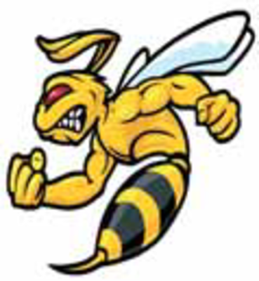 Наклейка "Оса кулак" винил 10,5*13см VRC-464 (05407)