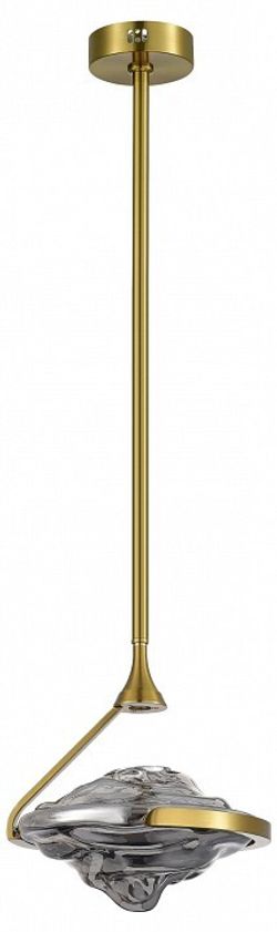 Светильник на штанге ST-Luce Amara SL6115.303.01