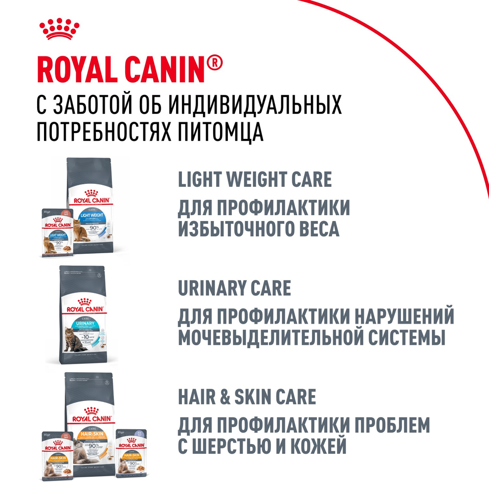 Royal Canin Maine Coon Adult Мейн Кун Эдалт Корм сухой для взрослых кошек породы Мэйн Кун 2кг