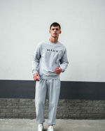 Костюм Nike #1353 (сер.)
