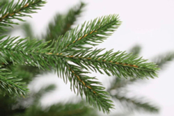 Ель искусственная Царь елка Адель 180 см АДЛ-180