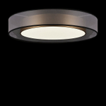 Накладной светильник Freya Zoticus FR6005CL-L48G