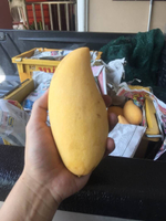 манго из Тайланда. сорт «Нам Док Май»