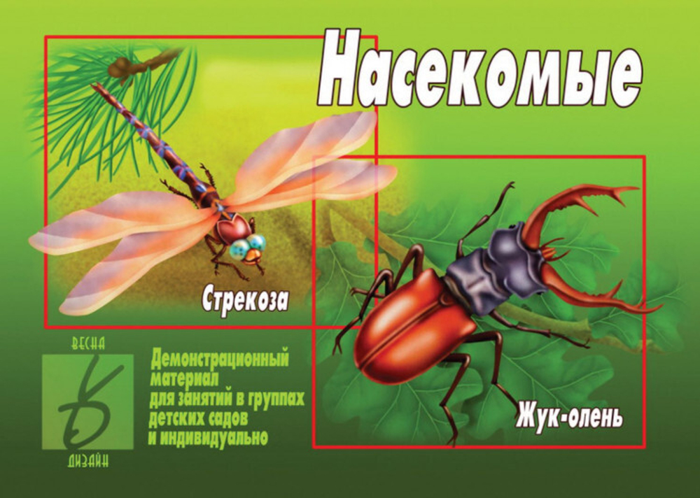 С.В.Бурдина. Демонстрационный материал для занятий в группах детских садов и индивидуально. Карточки Насекомые. 3+