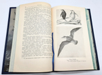 "Двукратные изыскания в Южном Ледовитом океане и плавание вокруг света в продолжение 1819, 20 и 21 годов, совершенные на шлюпах "Востоке" и "Мирном" под начальством капитана Беллинсгаузена командира шлюпа "Восток". Ф.Ф. Беллинсгаузен. 1949г.