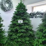 Ель искусственная «Наоми» (Литая хвоя) 185 см / 1,8 м