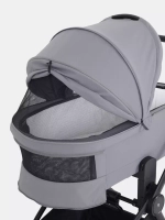 Коляска 2 в 1 Rant Flex 2025 RA076