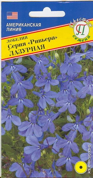 Лобелия
