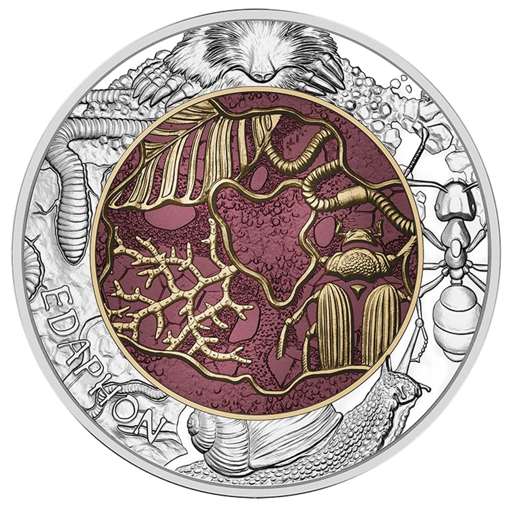 АВСТРИЯ, 2024, 25 ЕВРО [БИМЕТАЛЛ: СЕРЕБРО + НИОБИЙ]