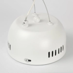 Подвесная люстра Lussole CLAUDIA LSP-7078