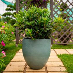 Кашпо BONSAI BLUE SKY