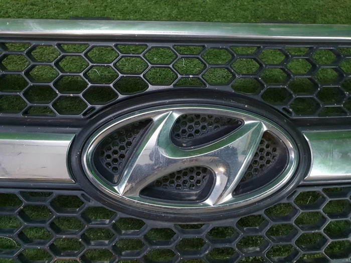 Решетка радиатора Hyundai Grand Starex H-1 (2007-2015)