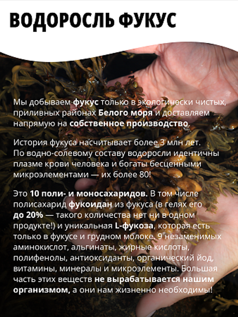 Algasgel LYMPHO Очищение лимфы, крови, печени