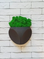 Настенное кашпо со мхом черное