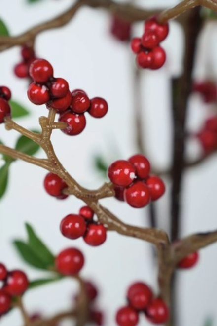 Ветка ягод узкая