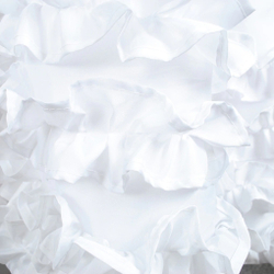 Шторка для ванной 200х220 Carnation Home Fashions Ruffles RUF220W