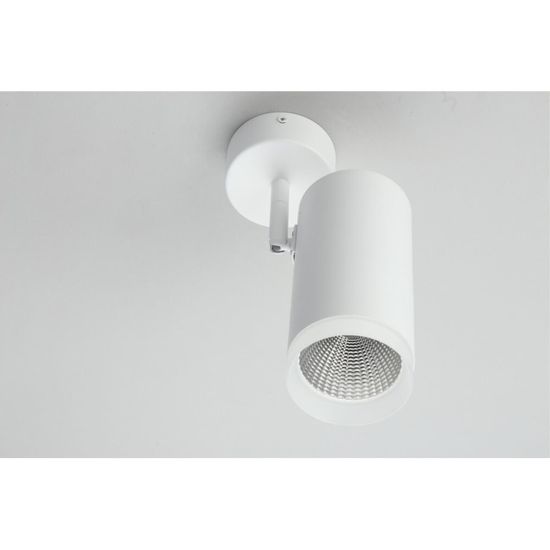 Светильник настенно-потолочный OML-102609-20