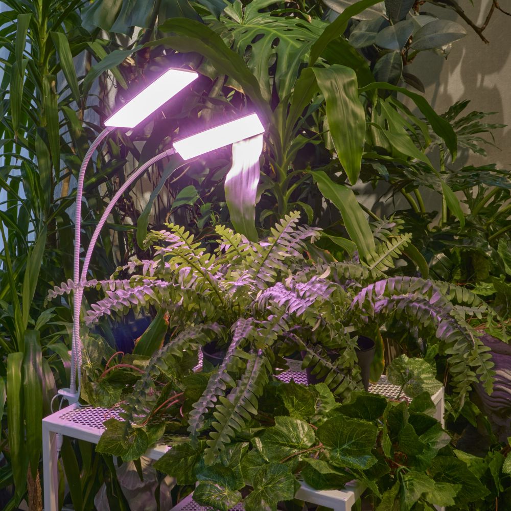 ULT-P37-24W-SPLE-TM-60 IP40 WHITE TWIN Светильник для растений светодиодный с таймером. на прищепке. Спектр для фотосинтеза. TM Uniel