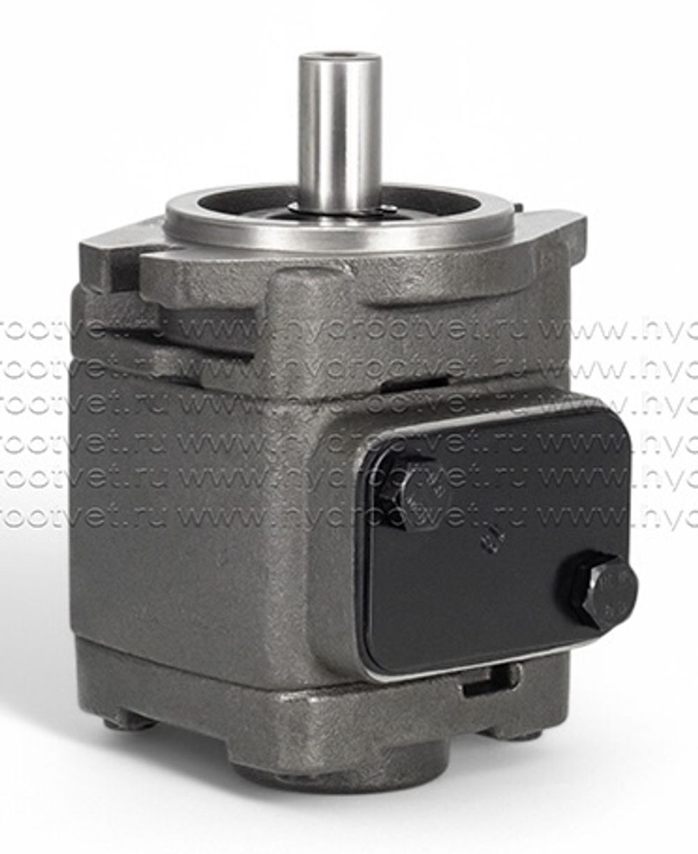PGF2-2X/019RE07VU2 - Шестеренный насос внутреннего зацепления с рабочим объемом 20 см3, 250 бар (YLH1-20R-PC-10)