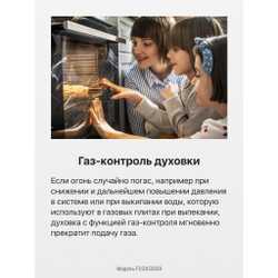 Газовая плита Hansa FCGX53028