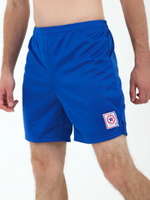 Шорты для САМБО из синтетики синие, по стандарту FIAS