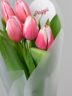 Тюльпаны микс