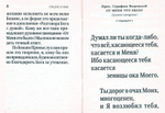 От меня это было. Духовное завещание преподобного Серафима Вырицкого (мини формат)