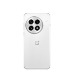 OnePlus 13 12/256Gb Arctic Dawn IN